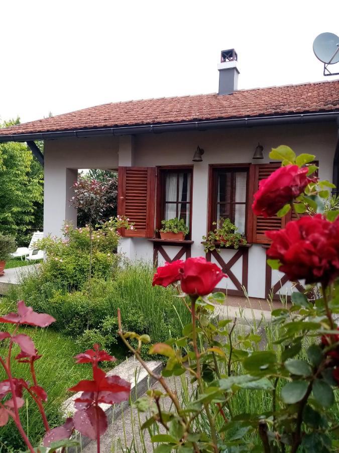 Nikolija 1 Daire Bajina Basta Dış mekan fotoğraf