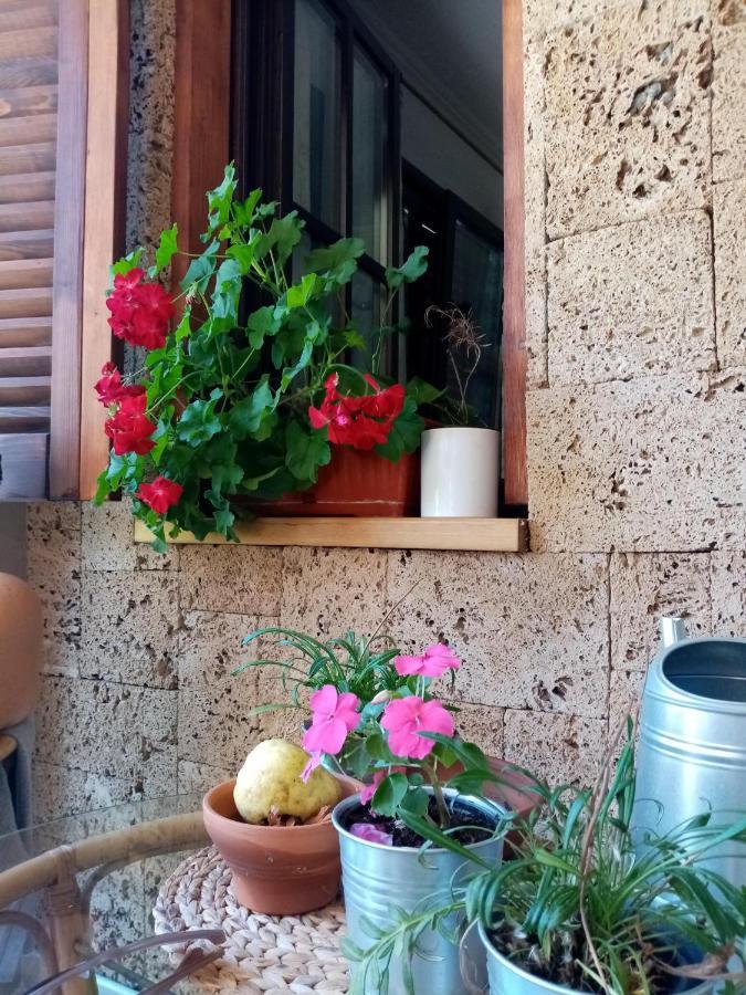 Nikolija 1 Daire Bajina Basta Dış mekan fotoğraf